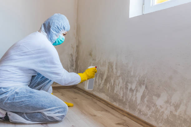 Mold Remediation specialist working in Hooversville
