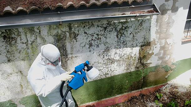 Mold Removal service in Hooversville
